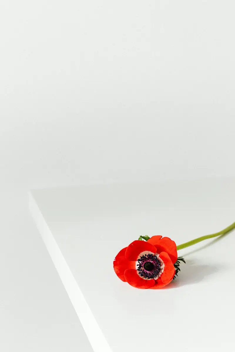 Rouwbloemen — A.Aerts